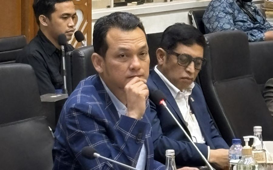 RUU PPRT Lindungi Pekerja dan Pemberi Kerja